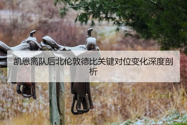 kai-en-li-dui-hou-bei-lun-dun-de-bi-guan-jian-dui-wei-bian-hua-shen-du-pou-xi-2-236.jpg