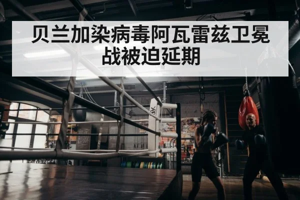 贝兰加染病毒阿瓦雷兹卫冕战被迫延期